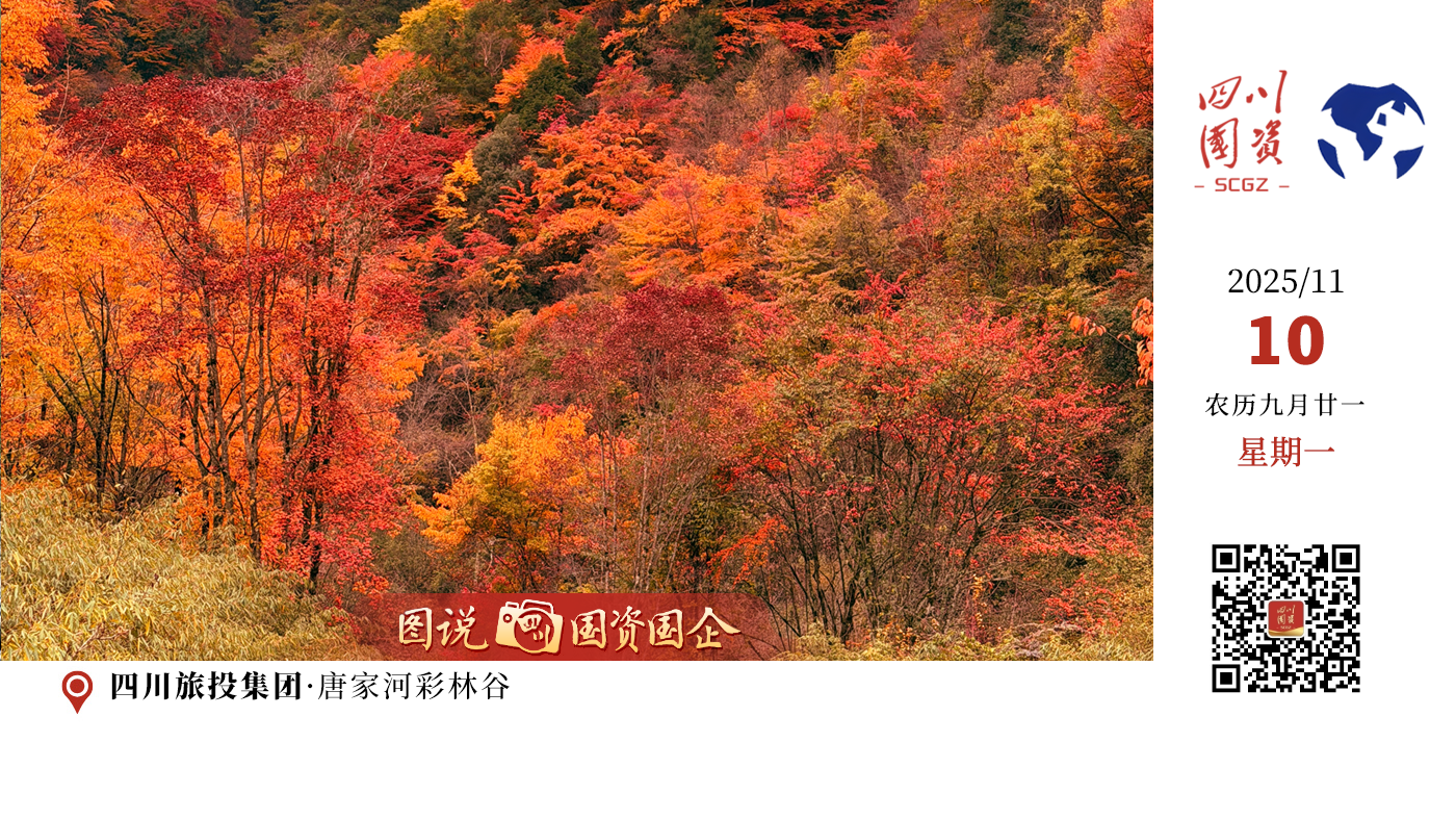 秋意正浓，红叶正盛。唐家河四万公顷原始森林等你来探！秋日限定美景配上不限量专属奖牌，徒步登顶问天台，一路红叶漫山。