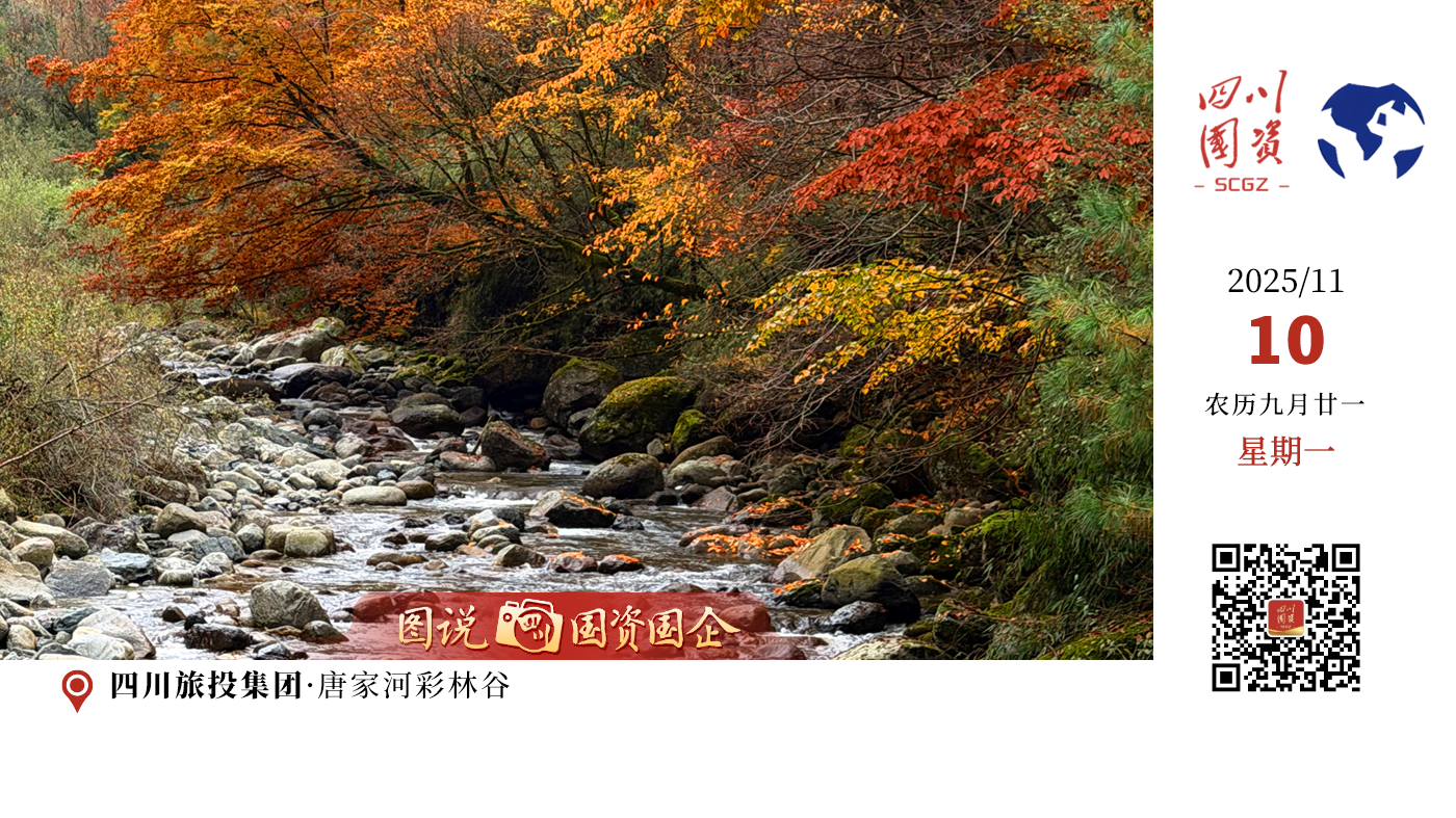 在这里，每一步都会带你远离喧嚣，每一眼都是大自然最慷慨的馈赠。当你的身影融入这片斑斓的秋色，当时光在这片原始森林中静静流淌，你会发现，最美的风景一直在路上。红叶不等人，秋意正浓时，一起来唐家河邂逅这个最绚烂的季节。（唐家河彩林谷开放截止日期为11月27日）