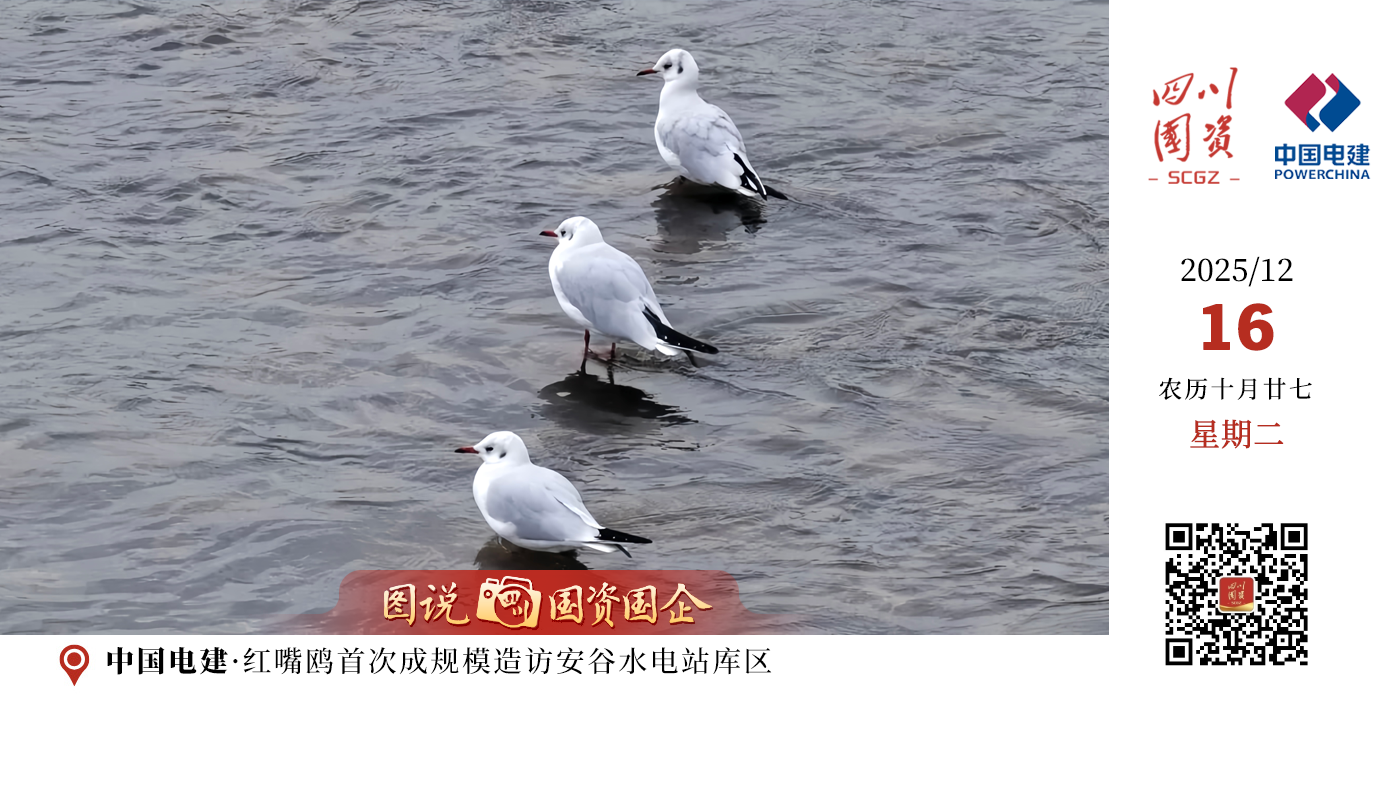 电站建设之初便将生态环境保护置于核心位置，实施了一系列生态保护工程，最大程度维护了天然河网形态和湿地生境，打造出“水清、岸绿、鱼跃、人欢”的生态库区。