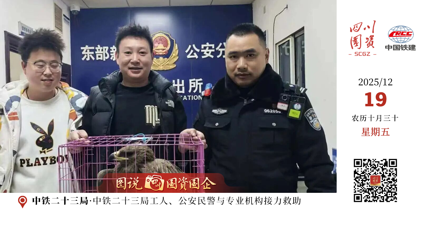 近日，在成都市龙泉山上，中铁二十三局龙泉山生态保护修复暨国家储备林项目产业工人巡山发现一只受伤的草原雕。一场由热心市民、公安民警与专业机构接力的救助行动迅速展开。