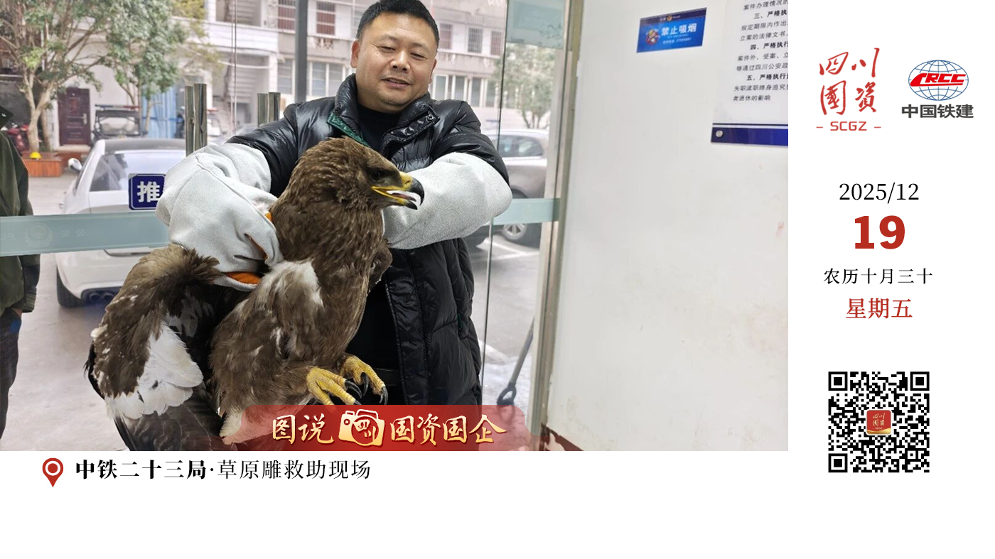 近年来随着龙泉山生态廊道功能持续提升，过境猛禽目击记录已较往年增长三倍，此次救助地点正是中铁二十三局承建的龙泉山生态保护修复暨国家储备林项目现场，恰好处于入川猛禽南北迁徙的关键停歇带上。