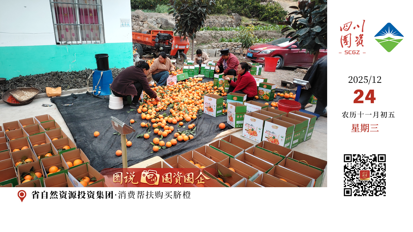 截至2025年11月，集团累计投入帮扶资金1887.2万元，超额完成年度计划，8项重点任务有序推进，助力雷波县地区生产总值同比增长8.0%、增速位列凉山州第一，用国企担当书写欠发达县域高质量发展的时代答卷。