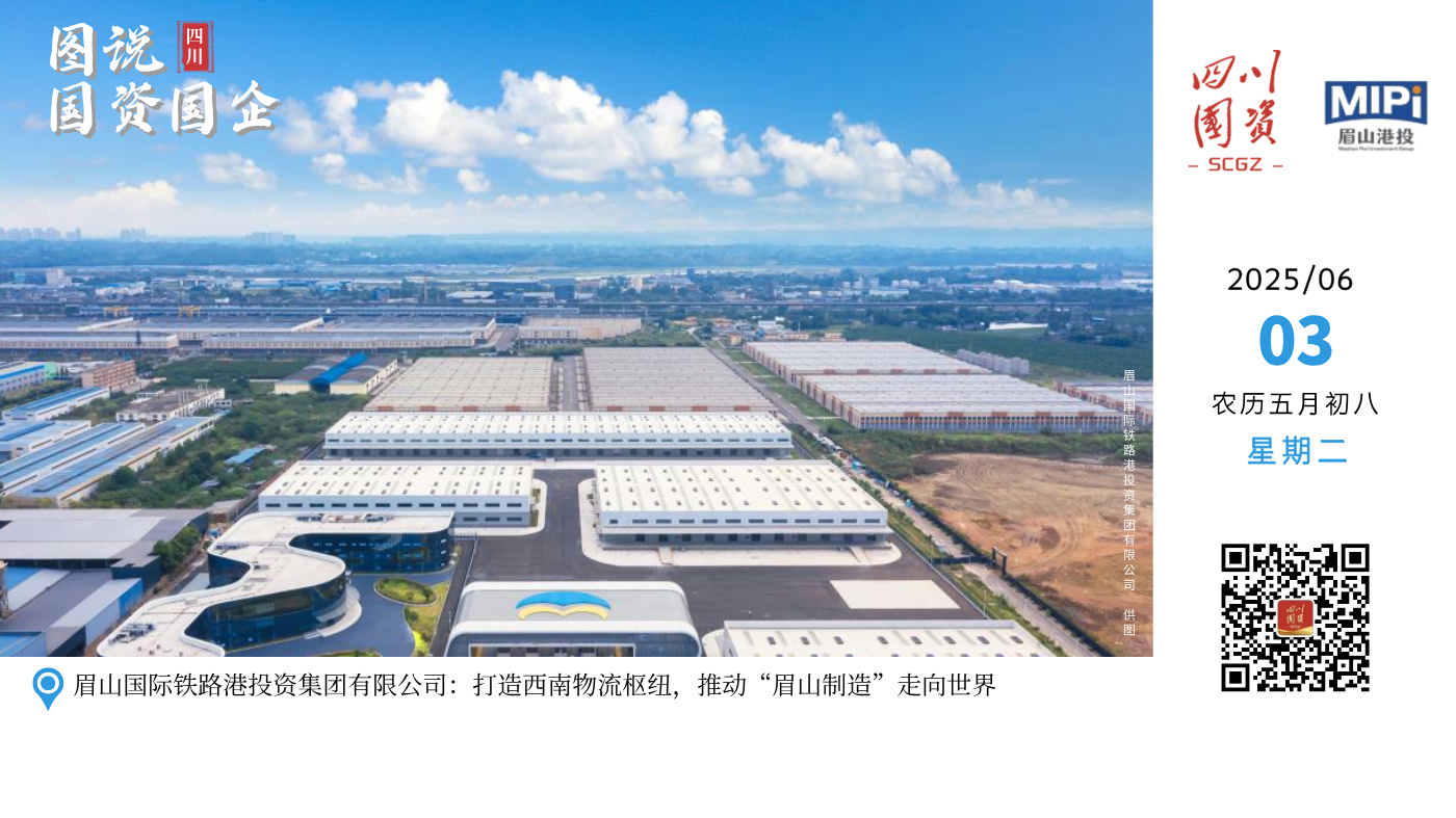 眉山国际铁路港投资集团有限公司瞄准“建设西南天府国际物流枢纽”目标，持续聚焦通道建设、大宗商贸、保税仓储及铁路港投建运，2024年开行国际班列220列，联通境外33个节点城市，推动45万吨“眉山制造”走向世界，保税仓货值突破亿元，全年实现营收超30亿元。
