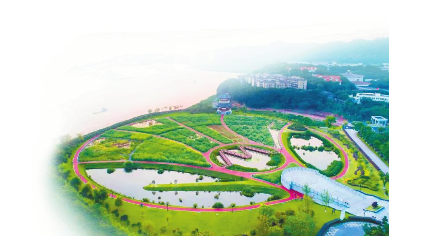 五粮液环保生态湿地。 五粮液环保生态湿地。