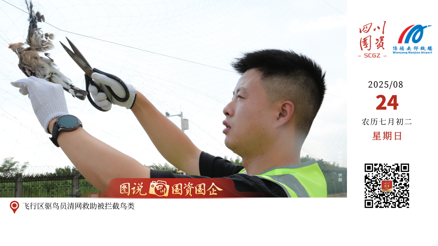绵阳机场人，以坚守诠释担当，以专注筑牢安全。每一滴汗水，都是对“安全民航”的郑重承诺；每一次值守，都是对“服务旅客”的深情践行。他们在岗位上默默耕耘，让每一次起降都安心顺畅。