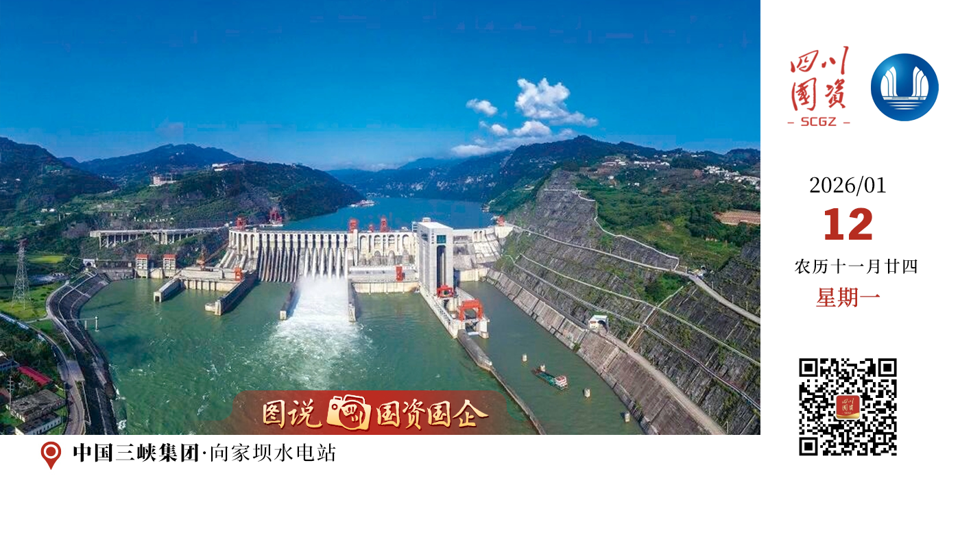 2025年，由乌东德、白鹤滩、溪洛渡、向家坝、三峡、葛洲坝六座电站构成的世界最大清洁能源走廊安全精益运行，大国重器综合效益充分发挥，交出了一份亮眼的“年度答卷”。