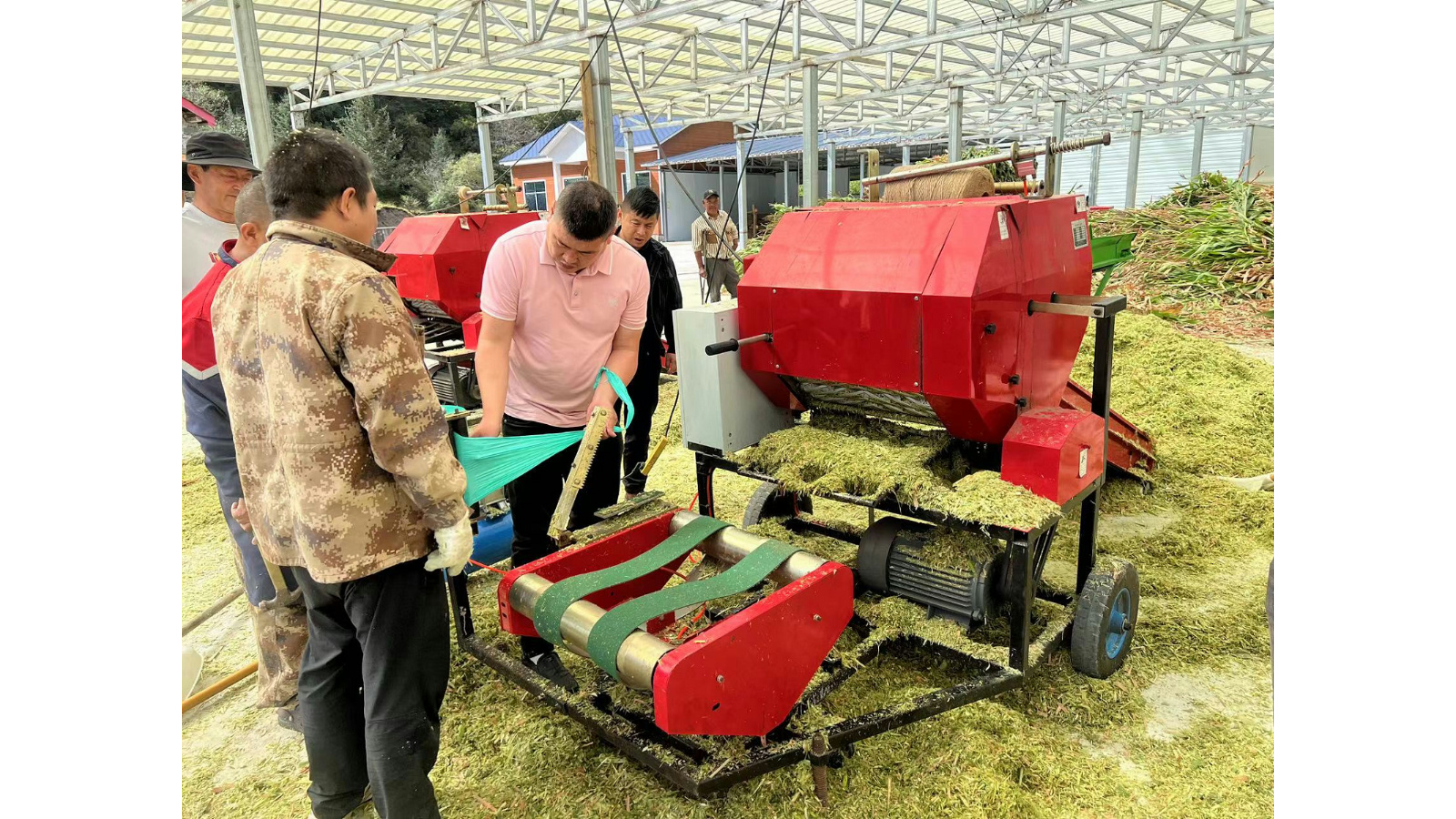 玉米青贮机械运转不停