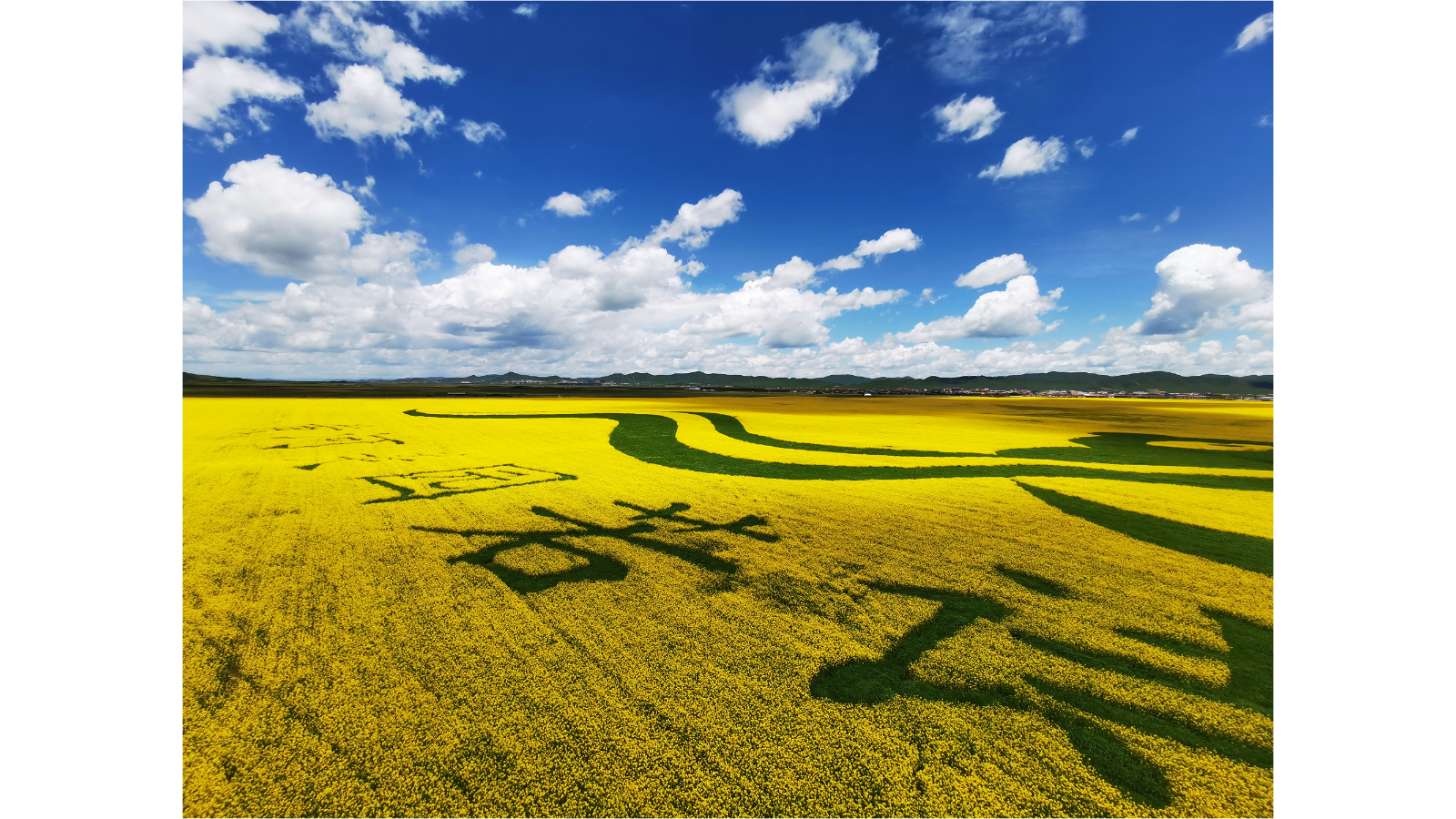 白河牧场大地景观
