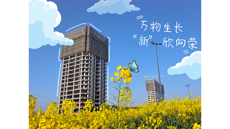 中国水电五局：中国水电五局电建教育培训基地项目进入建筑装饰装修及安装工程施工新阶段，为春日的缤纷色彩增添了一抹亮色