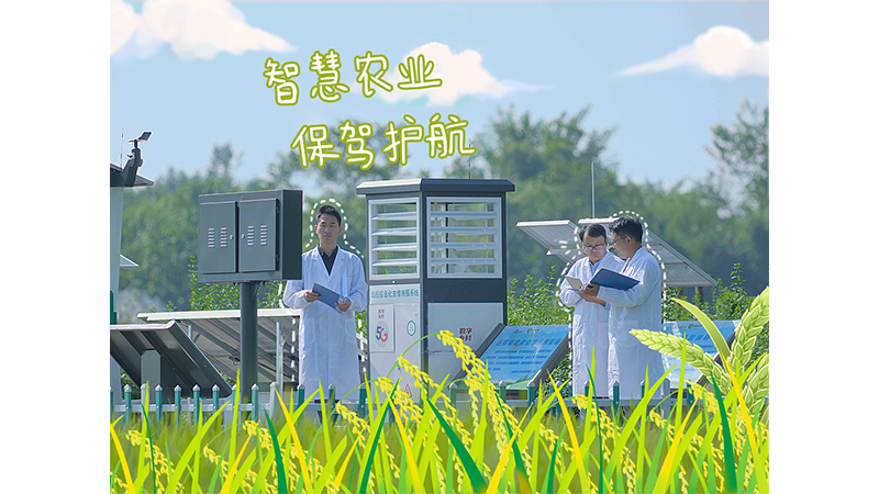 四川商投集团：四川商投集团稻乡渔歌现代农业产业园内，生产团队正密切监控农作物生长情况，依托智慧农业监测系统数据，为粮食丰收“保驾护航”