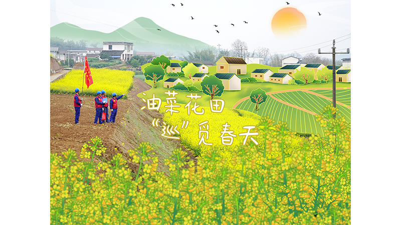 省能投集团：油菜花田中，四川能投长宁电力有限公司共产党员服务队深入辖区田间地头，对农灌线路进行特巡