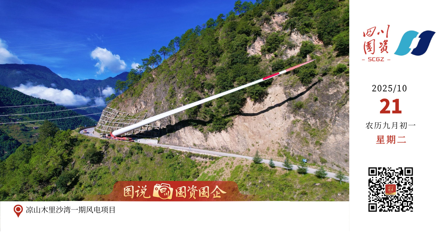 目前，项目已完成风机基础浇筑29基，实现1台风机吊装；升压站设备基础已全部完工，GIS装置安装进度达80%，整体工程已全面转入设备安装阶段。