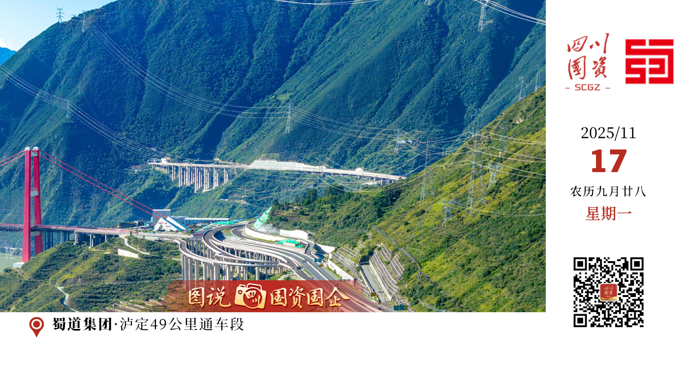 泸石高速公路项目建成通车后，对于完善四川省高速公路网，优化区域公路骨架网，改善民族地区生存与发展条件，促进民族团结、乡村振兴，加大优势资源开发力度，促进优势特色产业发展，打造旅游支柱产业，推动区域社会经济快速发展具有重要意义。