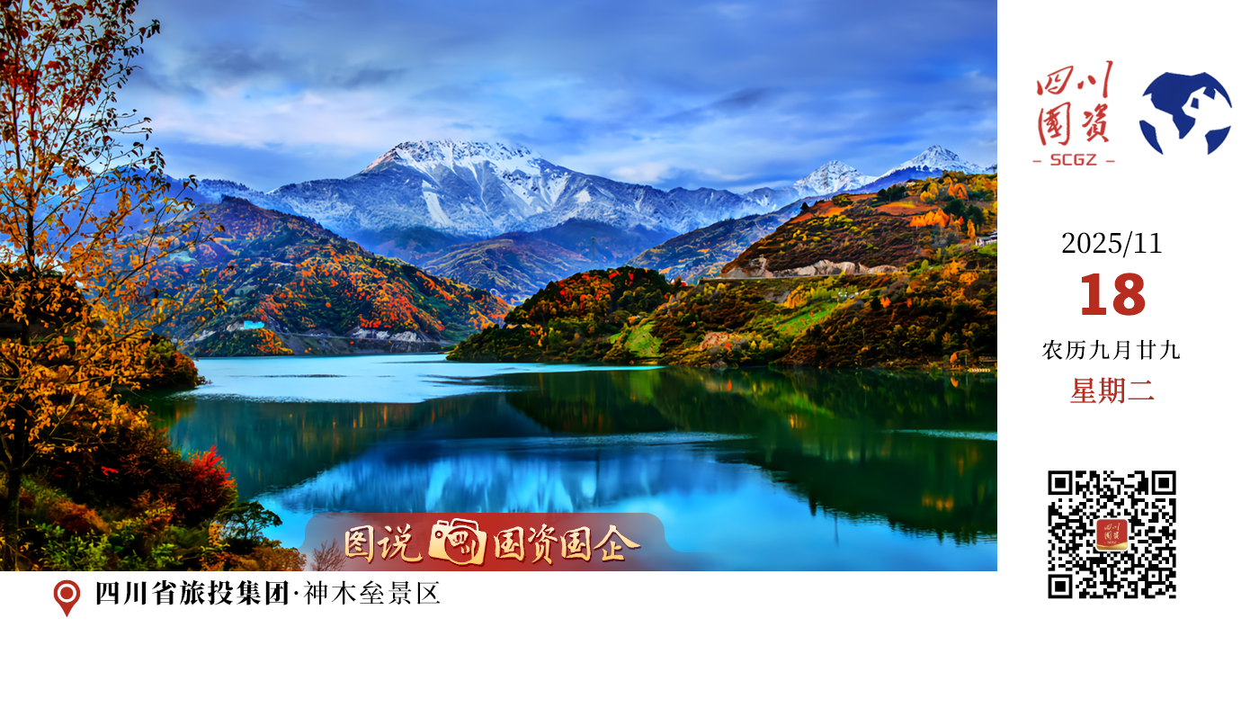 看「云下彩林」秋色烂漫、赏「云上雪山」初雪纯净，一次打卡“一半深秋、一半初冬”的视觉奇观！