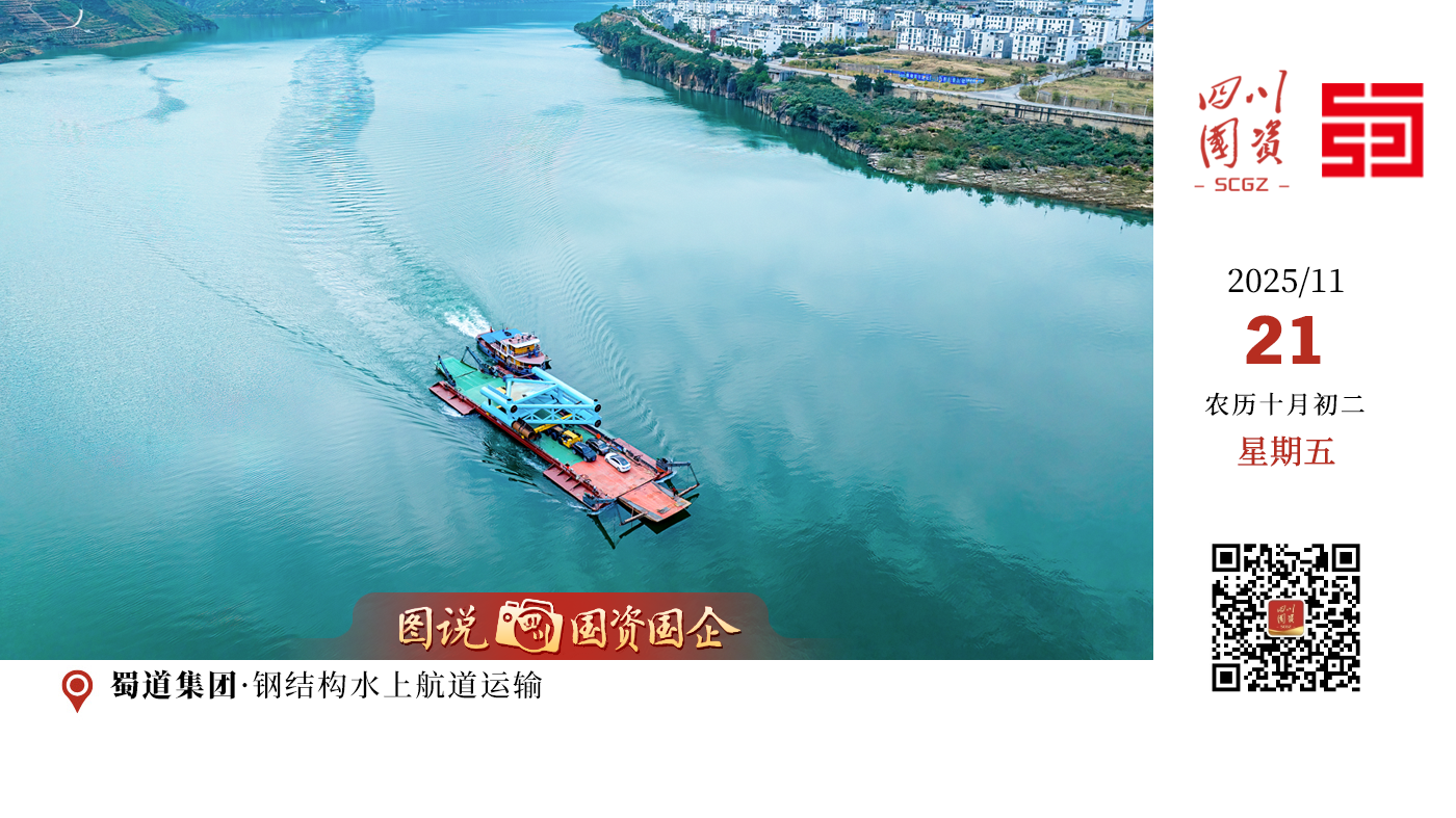 近日，由蜀道集团投建（川高公司主导投资、交通设计院公司设计、四川路桥承建）的宜宾至攀枝花高速公路屏山新市至金阳段最大吊重达140吨的特殊结构桥梁——大河坝特大桥土建完工，标志着大桥主体建设全面完成，正在稳步推进附属工程。宜攀高速作为共建“一带一路”与“长江经济带”发展战略的重大支撑项目，同时也是金阳县内首条高速公路。天堑变通途，项目建成通车后将结束金阳县内无高速的历史，对大小凉山彝区巩固拓展脱贫攻坚成果具有重要战略意义。