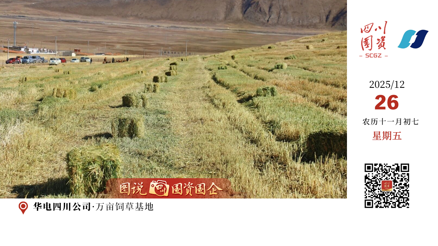 下一步，华电四川公司将重点谋划、接续投入，捐建石渠饲草加工厂，预计年产饲草产品10万吨，助力当地延伸“饲草种植—精深加工—市场销售”完整产业链。同时支持牧草产业园区水源及灌溉工程建设，助推4万亩饲草基地扩容提质，为高原牧区的绿色发展注入持久动力。