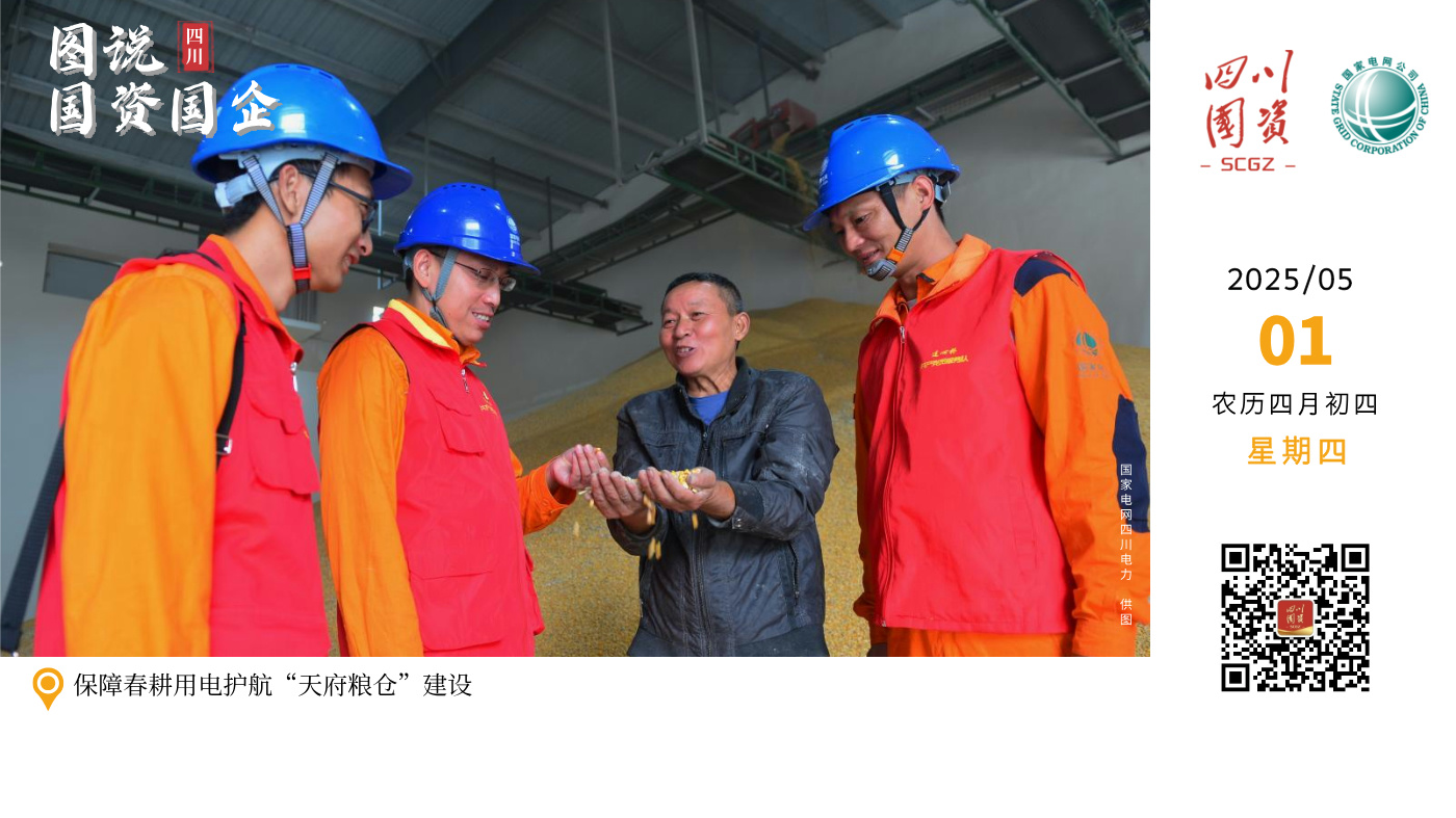 为了积极响应国家乡村振兴战略，国网四川电力成都高新连心桥共产党员服务队走进天府粮仓国家现代农业产业园，对农排线路、变压器等开展“拉网式”排查，提升农业生产保障能力。同时，推进配电变压器增容、低压线路改造等电力基础设施升级，全面满足提灌站等农业关键环节用电需求，助力打造更高水平“天府粮仓”，以实际行动赋能农业现代化发展。