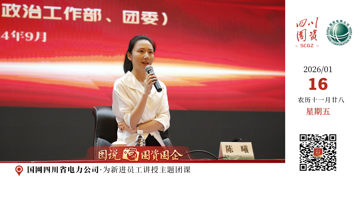 该同志十六年如一日，引导团员青年“听党话、跟党走”，在工作过程中，她筑牢理想信念、提升精神素养、引领岗位建功、弘扬志愿精神，助力公司建立四川首家企业青马学院，建成230所“国网川电留守学生之家”，组织1.4万名青年开展“三走进”青春践学，组建青年突击队，助力建成金上—湖北±800千伏特高压直流、1000千伏川渝特高压交流两个高海拔特高压输电工程。