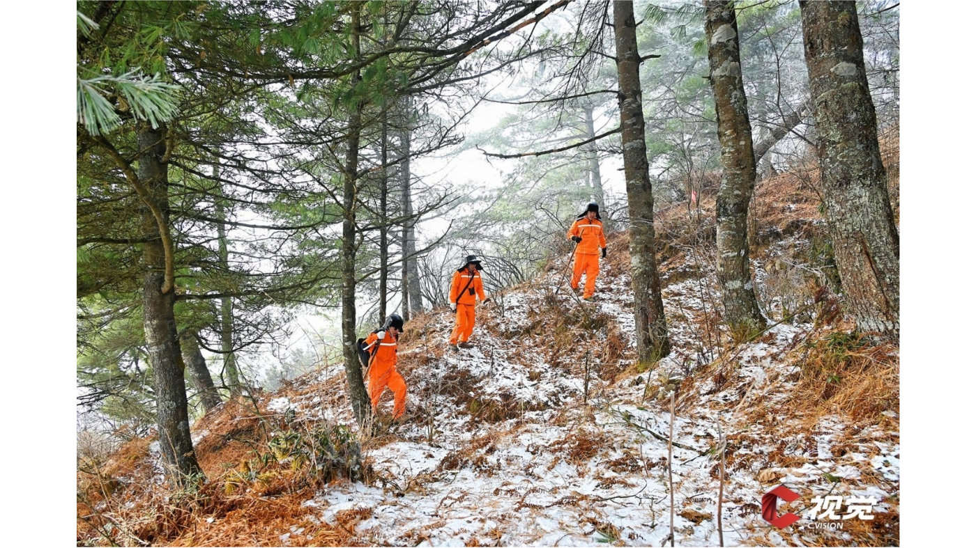 1月5日，国网四川工作人员在二郎山雪林陡坡上相互配合，共同前往输电线路巡检点位。