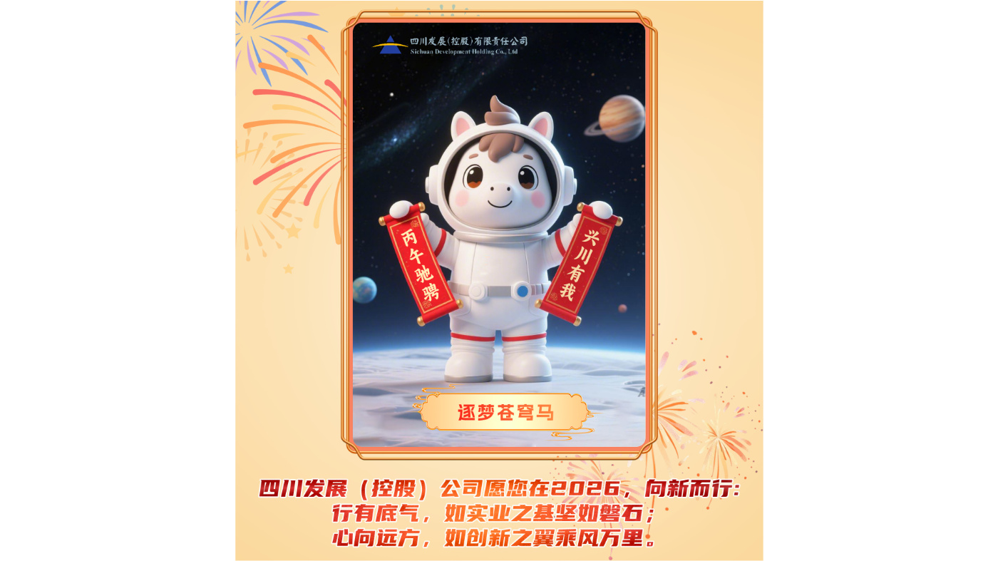 四川发展（控股）公司